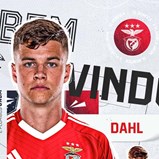 Oficial: Samuel Dahl é reforço do Benfica