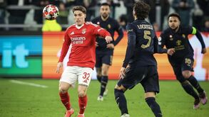 Rollheiser pode ficar no Benfica