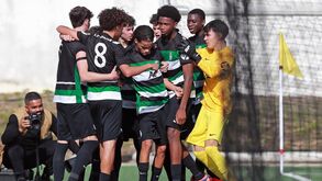 Mão cheia dos leões dá para acenar do topo 