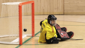 Mudança na baliza do Benfica na próxima época: sai Bernardo Mendes e entra Rodrigo Vieira