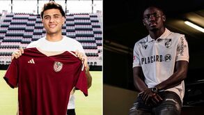 Gansos num lago de milhões: quase 14 M€ em vendas nos últimos 16 meses