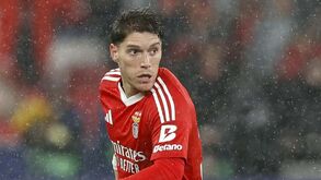 Rollheiser pode render 11 milhões ao Benfica