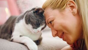 Quer conquistar o seu gato? Os truques infalíveis para que o seu felino nunca mais o largue!