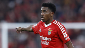 Leandro Barreiro e os reforços do Benfica: «Primeira impressão positiva»