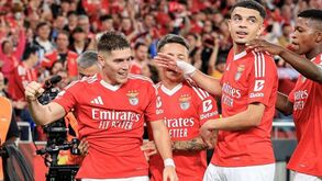 Gigantes turcos agitam leilão: dossiê Rollheiser por definir