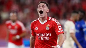Santos recua por Rollheiser: Botafogo tenta segurá-lo