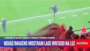 Aplausos para as bancadas e pontapé na garrafa: as reações de Bruno Lage após triunfo do Benfica