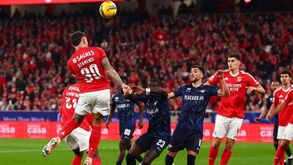 O resumo do Benfica-Moreirense: golos, casos e outros lances