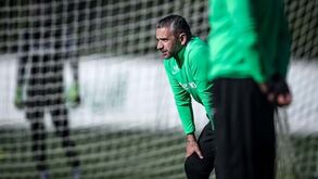 Sporting ultima receção ao Dortmund: o treino de recuperação, os lesionados e a agenda pré-Borussia