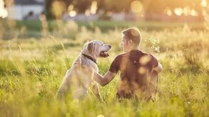 Qual a raça de cão que vive mais? Conheça os 7 companheiros de vida longa