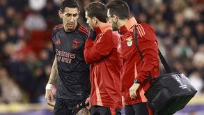 Lage: «Di María? Foi analisado por radiologistas dentro e fora do Benfica e não apresentava qualquer lesão»