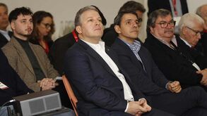Estudo de professor da Nova SBE alerta para risco do Benfica entrar em incumprimento