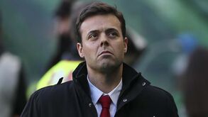 Tiago Pinto: «Há um período histórico do Benfica que acho que é irrepetível»