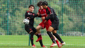 Voar cedo garante sucesso do Benfica