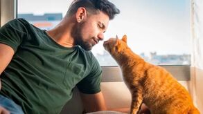 Estes são os 10 cheiros que deixam os gatos fascinados
