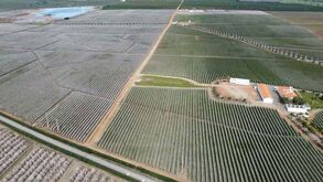 Comprador mistério de 700 hectares no Alentejo foi fundo de investimento de igreja mórmon