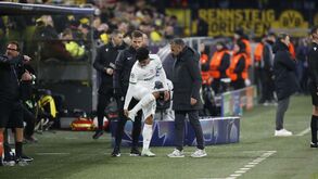 Calvário em Alvalade: Rui Borges já fez 11 substituições por lesão em 13 jogos