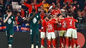 Supercomputador da Opta coloca Benfica com baixas hipóteses de passar aos 'quartos' da Champions