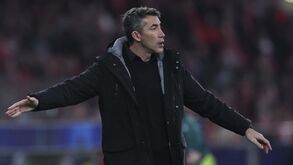 Mudanças à vista: o onze provável do Benfica para o jogo com o Boavista