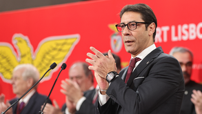 Rui Costa: «Somos o clube que mais tem contribuído para o ranking europeu»