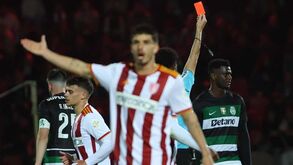 Os casos do AVS SAD-Sporting