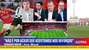 Bernardo Ribeiro: «Os reforços de inverno do Benfica não foram ideia de Bruno Lage, foram escolhidos por Rui Costa»