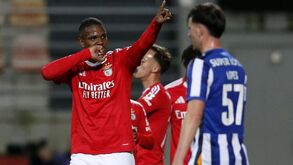 Gustavo Marques: «Estou no meu melhor momento»