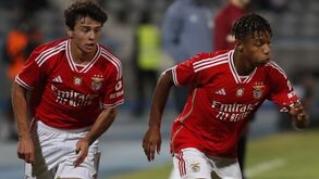 Lucro do Benfica mais que duplica com vendas milionárias de jogadores 