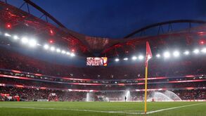 CMVM pede reunião com o Benfica: regulador do mercado quer esclarecimentos sobre novos estatutos