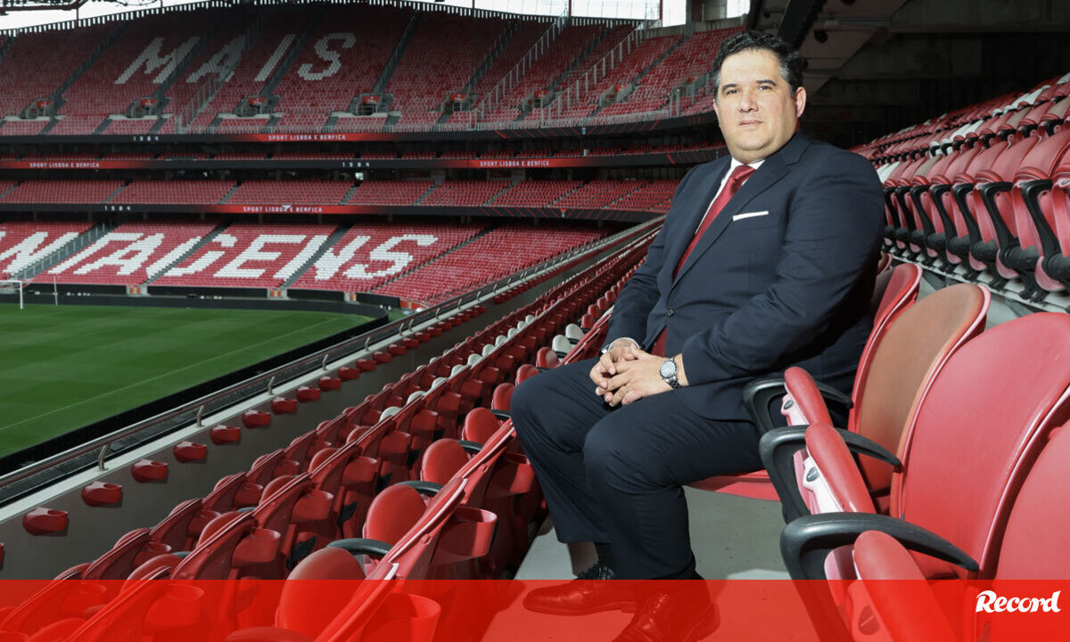 Nuno Catarino, CFO do Benfica: «Queremos chegar aos 500 milhões de ...