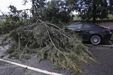 Árvore cai em cima de carro