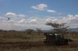 Elfyn Evans no Rali Safari