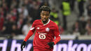 Angel Gomes, Lille