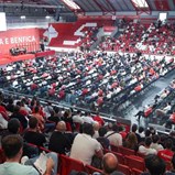 Revisão dos estatutos do Benfica: MAG recusa 'observadores' junto às urnas e na contagem dos votos