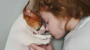 Será que está a mimar o seu cão em excesso? Este é o equilíbrio perfeito entre mimo e treino!