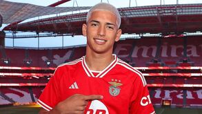 Portugal e Brasil disputam jovem avançado do Benfica