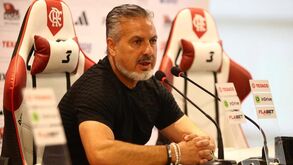 José Boto: «Benfica é um Flamengo em ponto pequeno, mas com muitas semelhanças»