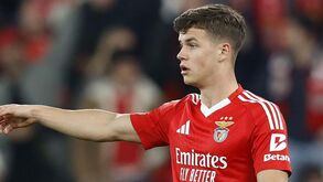 Dahl seguro no onze do Benfica