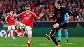 Fotografia do Benfica-Barcelona gera polémica mas adjunto de Anselmi não esteve na Luz
