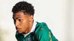 Diretor do Palmeiras pede sanções e revela como estão a ajudar jovem alvo de racismo