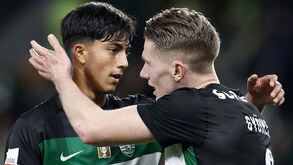 João Marques treinou Felicíssimo no Benfica: «Sempre foi muito comprometido com o treino» 