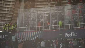 Novas imagens da pancadaria entre ultras do Benfica e stewards nas bancadas do Olímpico de Montjuïc