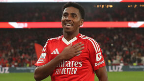 Leandro Barreiro tem sido utilizado regularmente no Benfica