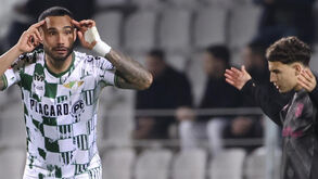 Schettine espreita regresso 