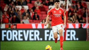 Benfica prepara Rio Ave: Tomás Araújo está apto e Di María ainda em dúvida