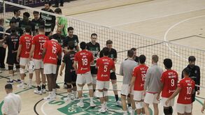 Águias e leões favoritos