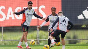 Benfica mostra Tomás Araújo a treinar com a equipa