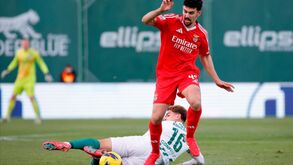 Tomás Araújo sabe hoje se vai a Barcelos