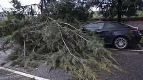 Mau tempo: seis feridos e mais de 630 ocorrências em Lisboa durante a noite