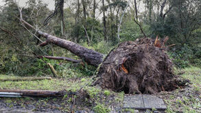 Depressão Martinho: rajada mais intensa foi de 169,2 quilómetros por hora no Cabo da Roca